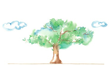 良質な空気は樹木など本来の生理機能へ蘇生することで生まれる